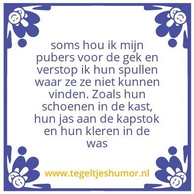 Tegeltje: pubers