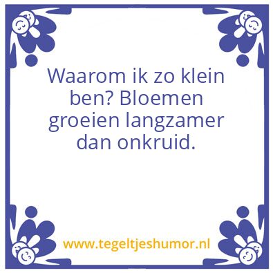 Tegeltje: Waarom ik zo klein ben?