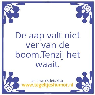 Tegeltje: Stormaap