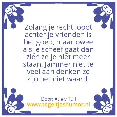 Tegeltje: nep vrienden