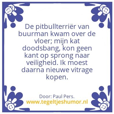 Tegeltje: een kat in het nauwâ€¦â€¦â€¦