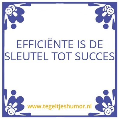 Tegeltje: SUCCES