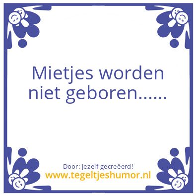 Tegeltje: ApPiE