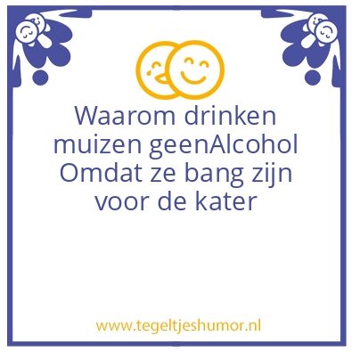 Tegeltje: kater