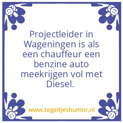 Tegeltje: Projectleider