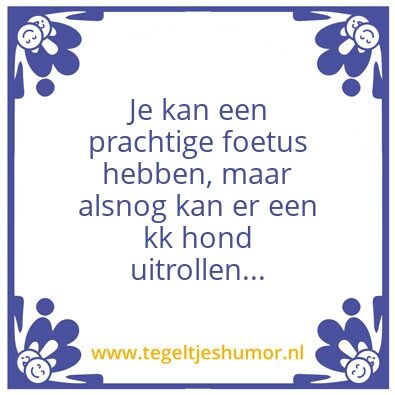 Tegeltje: Pijem