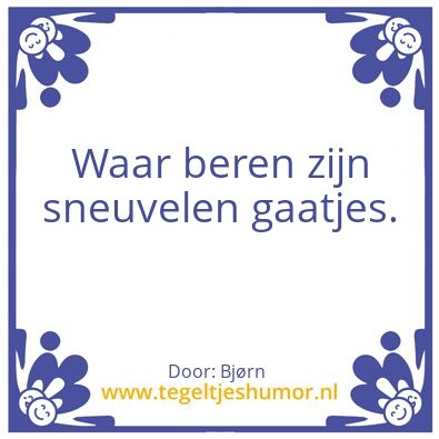 Tegeltje: BjÃ¸rn