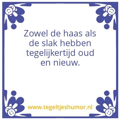 Tegeltje: haas