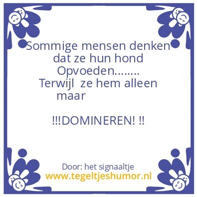 Tegeltje: Opvoeden of domineren….