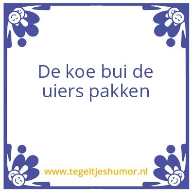 Tegeltje: Koe