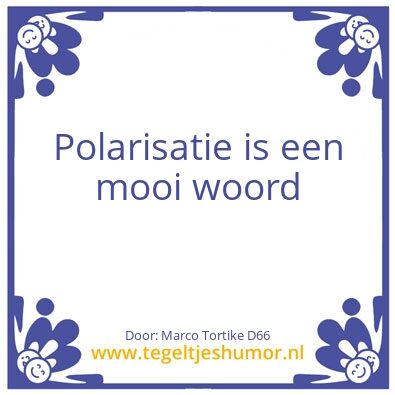 Tegeltje: Polarisatie