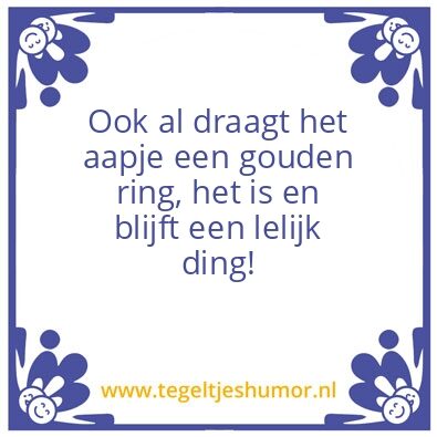 Tegeltje: Lelijk dinh