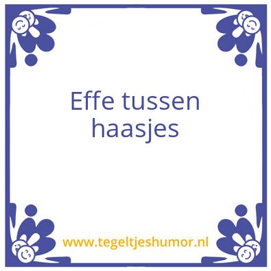 Tegeltje: Effe tussen haasjes