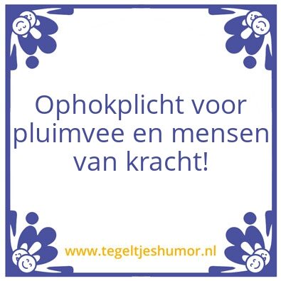Tegeltje: Avondhok
