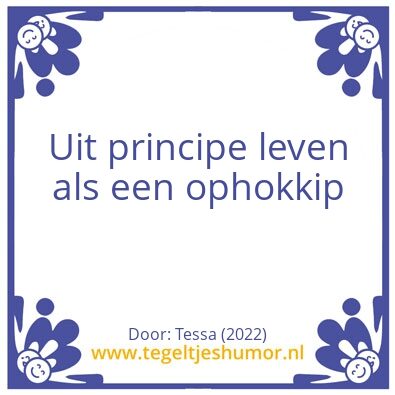 Tegeltje: principes