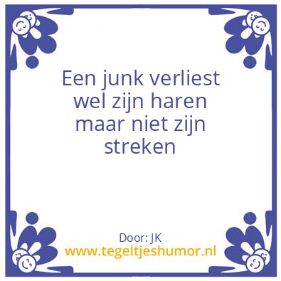 Tegeltje: Junkenstreken