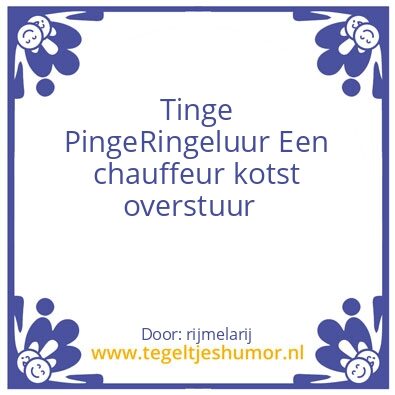 Tegeltje: rijles