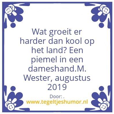 Tegeltje: Wijsheid