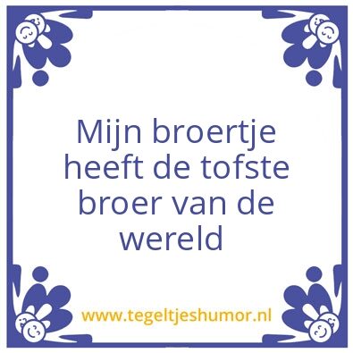 Tegeltje: De tofste broer