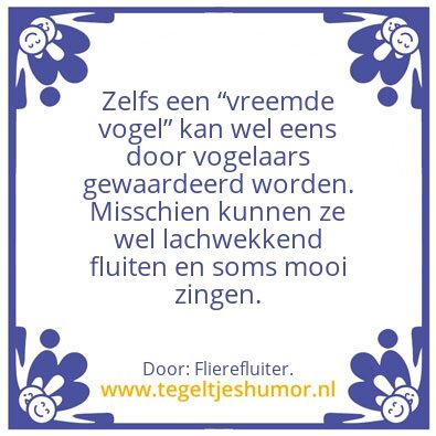 Tegeltje: Vreemde vogel.