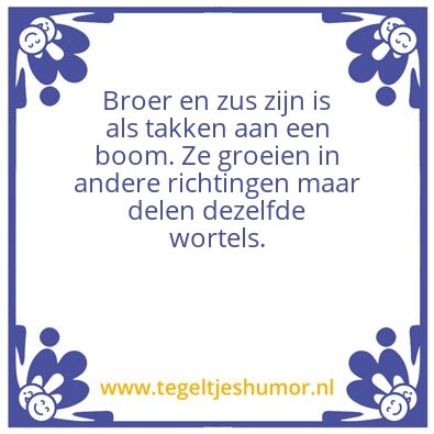 Tegeltje: Broer en zus