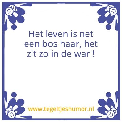 Tegeltje: Het leven !