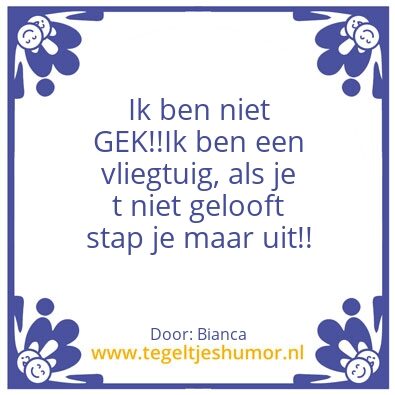 Tegeltje: Ik ben niet Gek!!