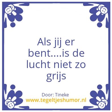 Tegeltje: Grijs is de kleur