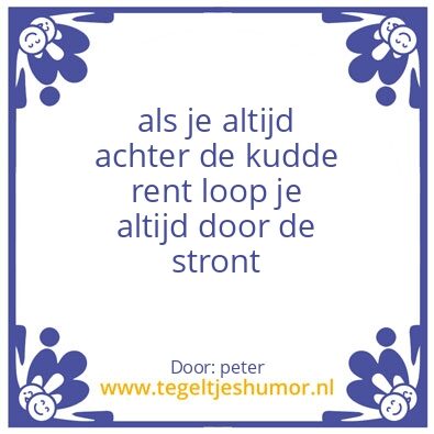 Tegeltje: wijsheid
