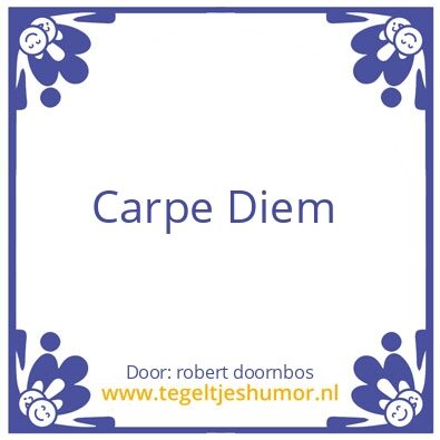 Tegeltje: carpe diem