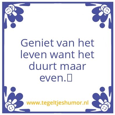 Tegeltje: het leven