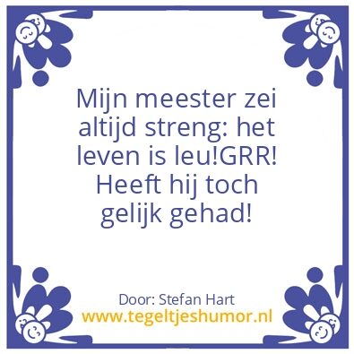 Tegeltje: Leven is leuk