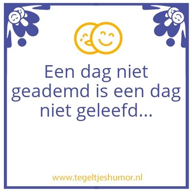 Tegeltje: Wijsheid