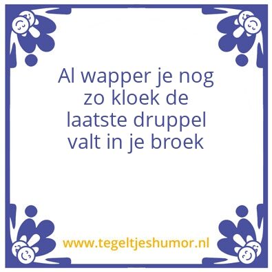 Tegeltje: Ludo