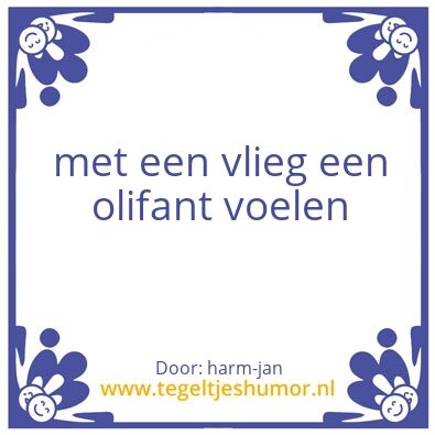 Tegeltje: olifaat