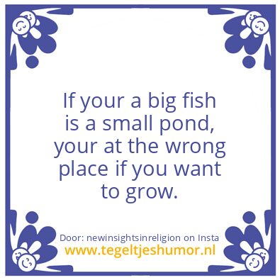 Tegeltje: Big Fish !