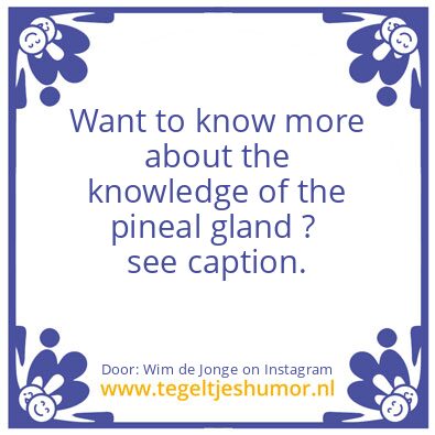 Tegeltje: knowledge of the pineal gland.