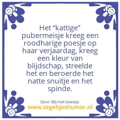 Tegeltje: Verrassing.
