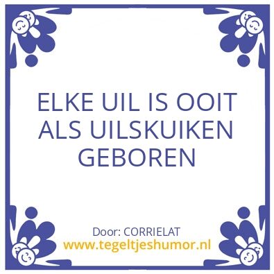Tegeltje: HUMOR.