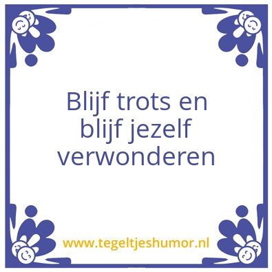 Tegeltje: tegel