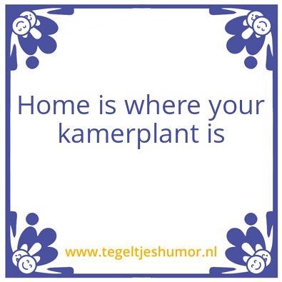 Tegeltje: Kamerplant