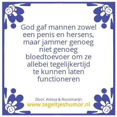 Tegeltje: penis