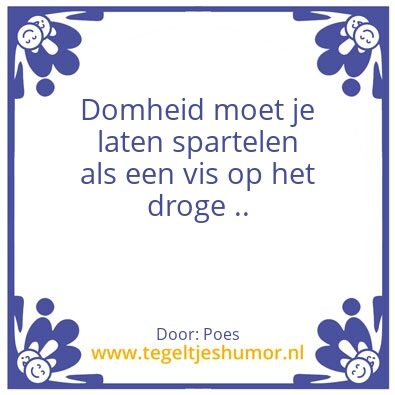 Tegeltje: Tegeltje domheid