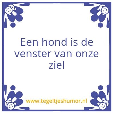 Tegeltje: Een hond