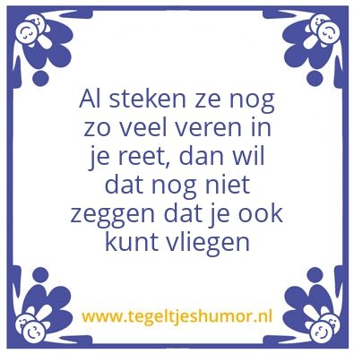Tegeltje: Vliegen