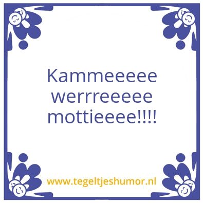 Tegeltje: Raaw