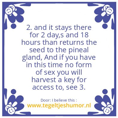 Tegeltje: The Seed of the Pineal Gland