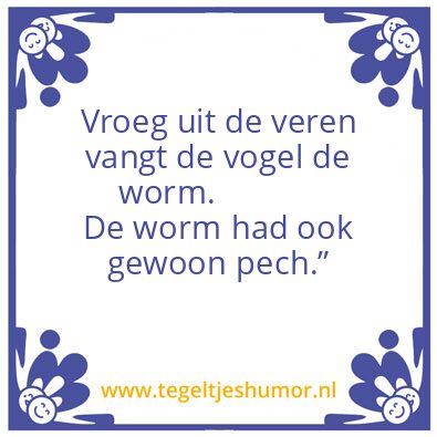 Tegeltje: Vogel