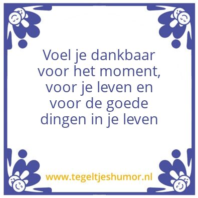 Tegeltje: Dankbaar