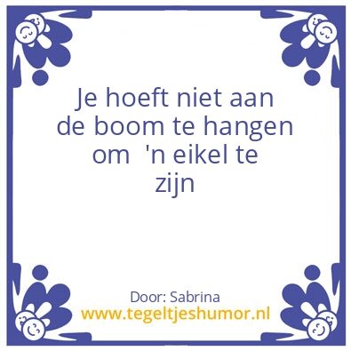 Tegeltje: Gewoon omdat het kan